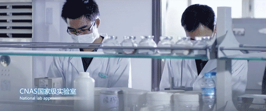 1xBET Signup(中国)-官方网站