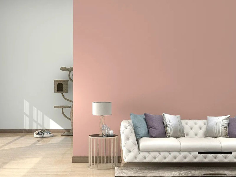 1xBET Signup(中国)-官方网站