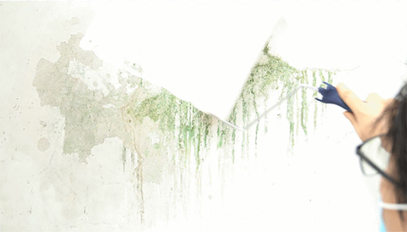 1xBET Signup(中国)-官方网站