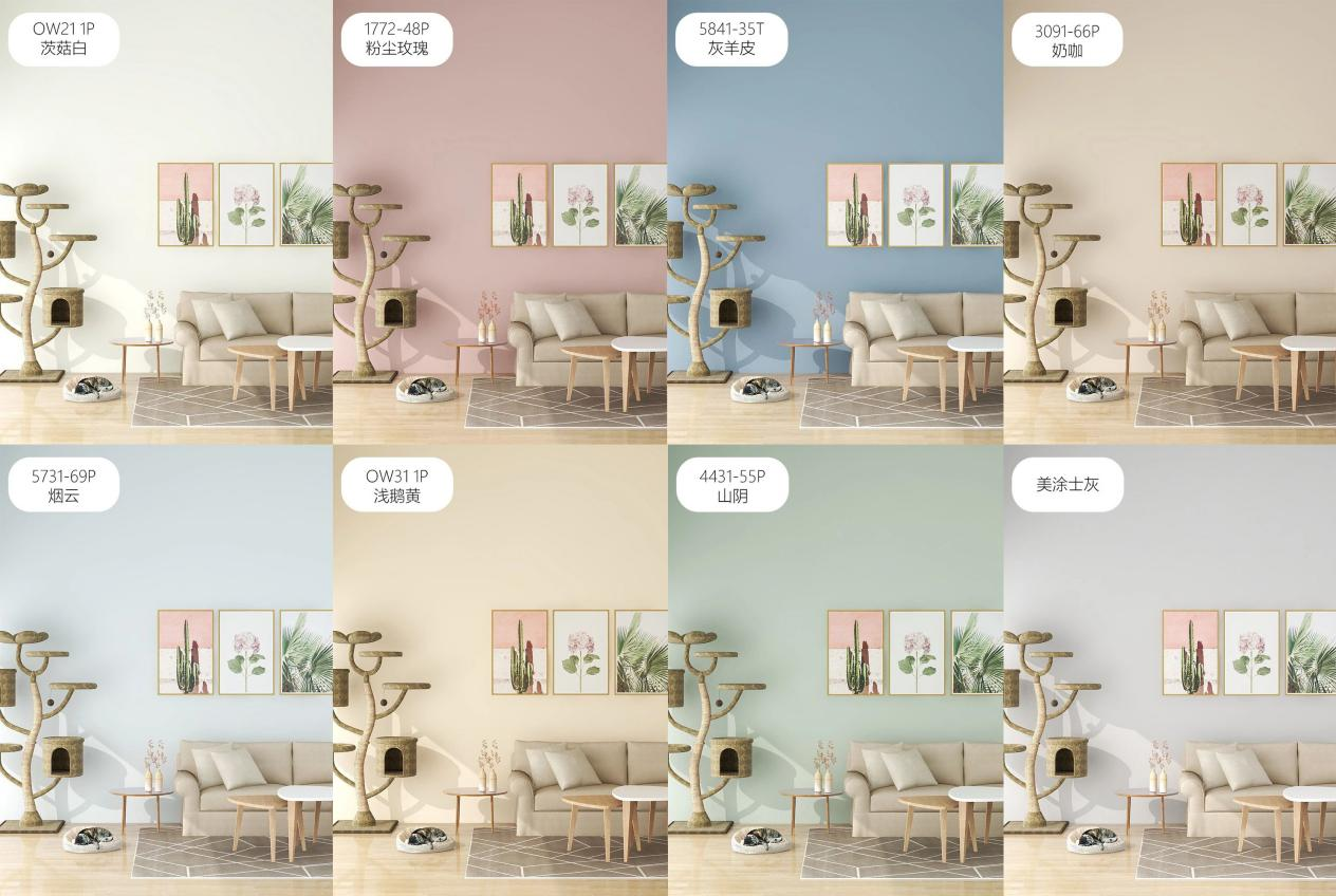 1xBET Signup(中国)-官方网站